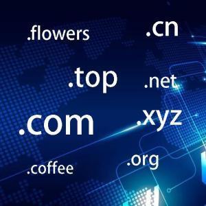 拉薩網站建設常見問題之什么是域名？如何購買和選購域名？